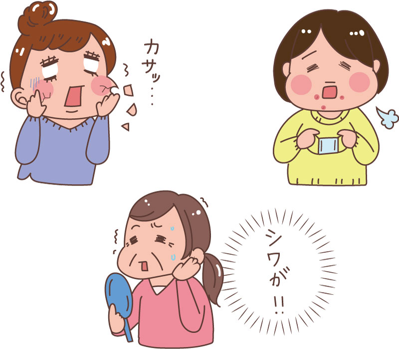 スキンケア化粧品 パンフレット用挿絵 イラストレーターはとむぎの日々奮闘